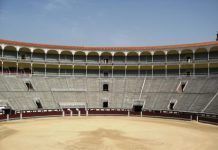 España bajará el IVA a los toros y mantendrá el de la luz y el gas toros iva