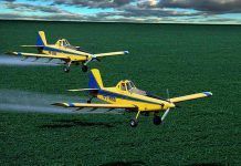 Brasil, la terra promesa per als fabricants de pesticides prohibits Brasil-la-tierra-prometida-para-los-fabricantes-de-pesticidas-prohibidos large
