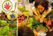 BioCultura Kids: MamaTerra BCN 2015 Hort 1hort2