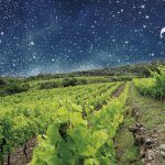 Mostra-de-vins-biodinamics-BARCELONA