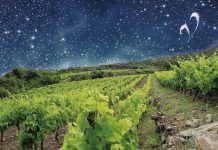 Barcelona acull la primera gran mostra de vins biodinàmics: 80 viticultors de nou països diferents es donaran cita el 27 d’abril al Mercat del Born Centre Cultural Mostra-de-vins-biodinamics-BARCELONA