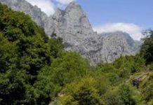 Por primera vez se regulará la importación de las especies foráneas potencialmente dañinas Ruta-del-Cares th 86d085836c8204a4ef07c18efaea8ae1