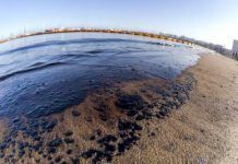 Se recogen 120 kilos de hidrocarburo en playas del suroeste de Gran Canaria hidrocarburo mancha