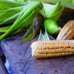 ifoameu policy gmos dossier 201412