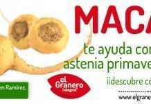 Maca: energético natural para la astenia primaveral maca