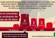 Las centrales nucleares de más de 30 años deben cerrar nuclear 30 anos
