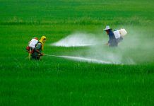 Las ONG’S instan a los partidos a incluir la lucha contra los pesticidas en sus programas pesticidas