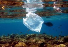 Los españoles reducen drásticamente el consumo de las bolsas de plástico BOLSA-PLÁSTICO