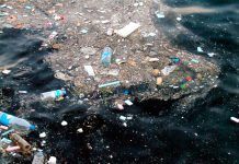 Yo Reciclo: Un continente de plástico Un continente de plástico