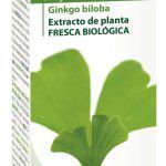 ginko biloba