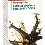 harpagofito