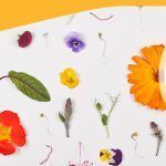 mayo junio FB header