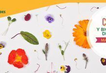 Cursos y bio talleres de cocina Mayo – Junio en Bio Space mayo junio FB header