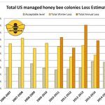 perdidas abejas
