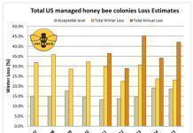 Las abejas siguen muriéndose #SOSabejas. Por Luís Ferreirim perdidas abejas