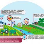 plaguicidas salud greenpeace