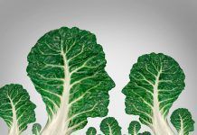 Qué Comer: Ventajas de consumir alimentos ecológicos Ventajas de consumir alimentos ecológicos