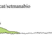 Setmana Bio, una setmana plena d’activitats per l’alimentació ecològica setmana bio 2015