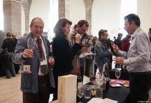 La Feria Vinum Nature Barcelona se consolida como el referente más importante para conocer los vinos ecológicos del país. Cita: 31 de mayo – 1 de junio vinumnature 15
