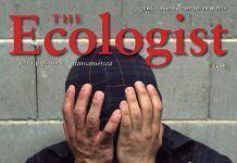 The Ecologist: El primer monográfico dedicado a enfermedades mentales, ya en la calle THE ECOLOGIST62 PORTADA