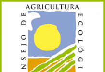 Oh, verde Navidad caerm logo