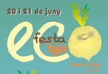 Festa Eco TGN: el 20 i 21 de juny a Tarragona catelfestaecoA3