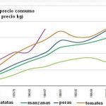 grafico-1