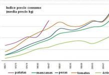 Los pobres comen basura. Los ricos sano y verde grafico-1