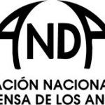 logo-anda-14