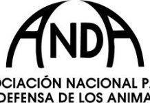 ANDA, decepcionada ante la la débil respuesta de la Comisión Europea para acabar con la experimentación en animales logo-anda-14