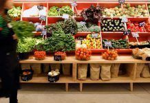 La FAO alerta que el cambio climático puede afectar en la producción de alimentos tienda bio efe