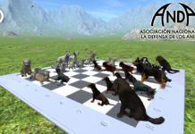 Los perros, protagonistas del ajedrez solidario de Yoko Ono corner