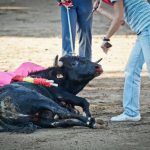 cruel festejos