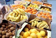 Representación española en la implantación del .BIO fruta2015