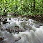 naturealert 8d9f-df43e