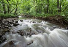 Piden a la ciudadanía que exija la protección de la naturaleza europea naturealert 8d9f-df43e