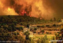 El julio más cálido de la historia y el cóctel para los incendios forestales 116048 193272