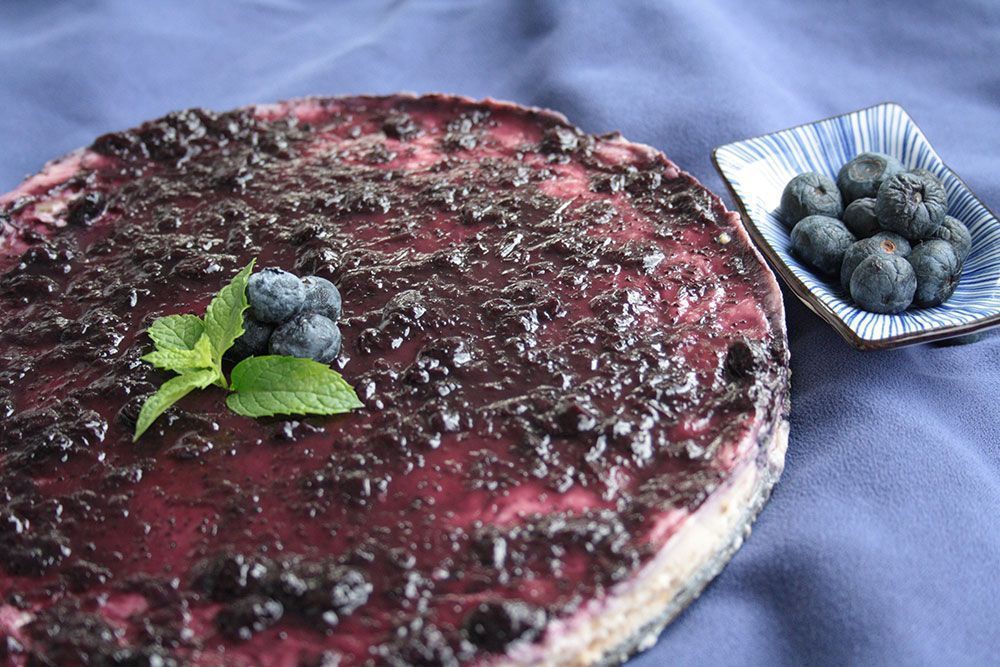 cheese_cake_vegan_gavina