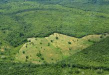 InfoAmazonia ens mostra els problemes del “pulmó del planeta” a través de mapes ciat-660x550
