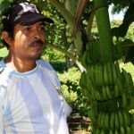 cooperacion ometepe