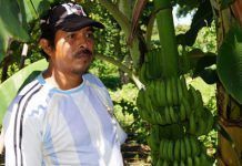 Sembrando agua en Nicaragua: «ahora la gente respira diferente y se siente orgullosa de ser parque nacional» cooperacion ometepe