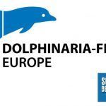 dfe sosdelfines