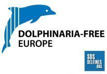 ¡Una Europa libre de delfinarios a la vista! dfe sosdelfines