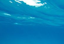 Así se hace: El agua de mar, una captación óptima Así se hace: El agua de mar, una captación óptima