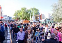 IV Feria EcoSentidos, del 25 al 27 de septiembre en Gijón ecosentidos 2015