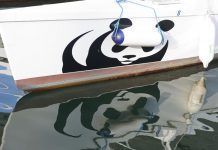 WWF exige acciones urgentes para que la temperatura del Planeta no suba #NiungradoMás embarcate aguilas copy miguel murcia wwf 12 copia