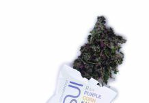 Kale chips de maíz morado, de Inspiral inspiral maiz morado