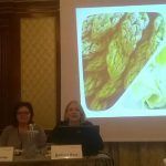rueda prensa biofach 2016
