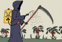 Vuit de cada deu verdures i fruites estan contaminades per agrotòxics a Argentina Ocho-de-cada-diez-con-toxicos