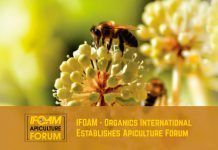 La Apicultura Orgánica disfruta de respaldo internacional. Establecido el Foro Apícola de IFOAM – Conferencia Mundial de 2016 en Argentina apicultureforum established1